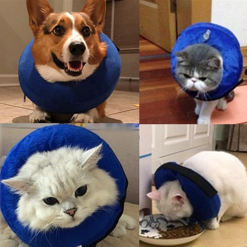 Мягкий воротник для кота