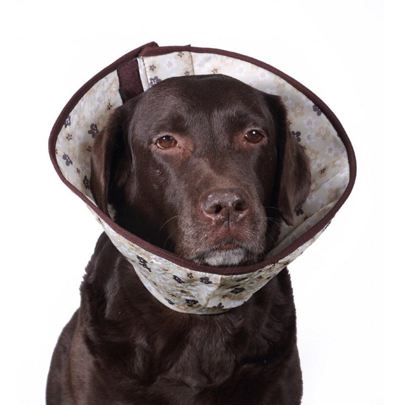 Защитный воротник Kruuse Buster clic Collar 25 см