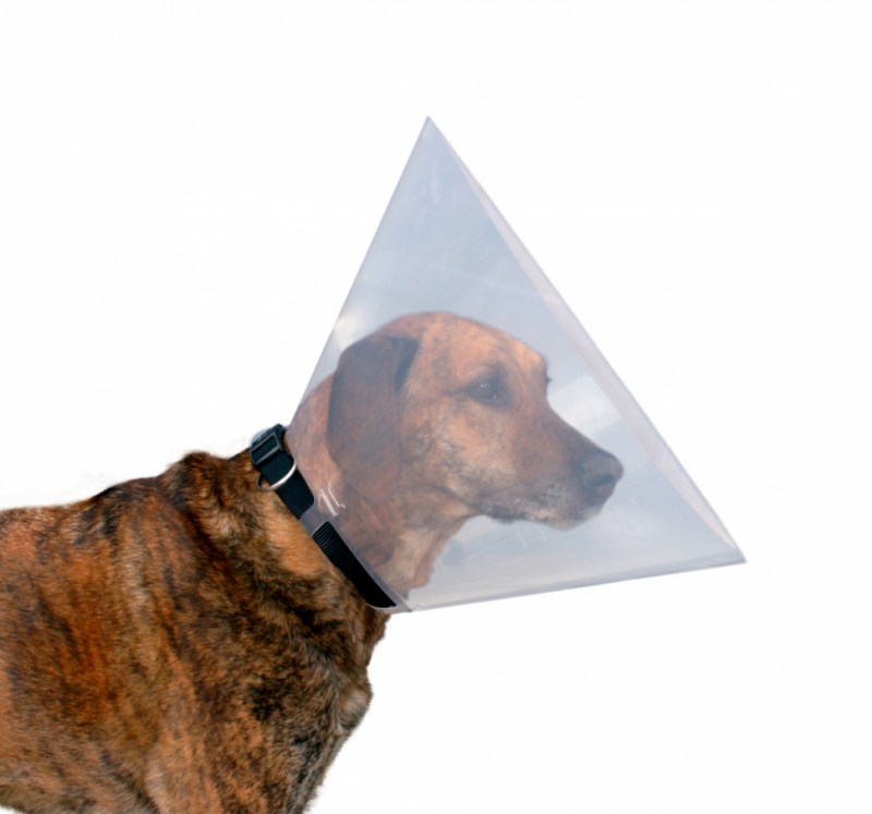 Защитный воротник Kruuse Buster clic Collar 20 см