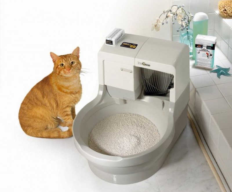 Лоток для кота