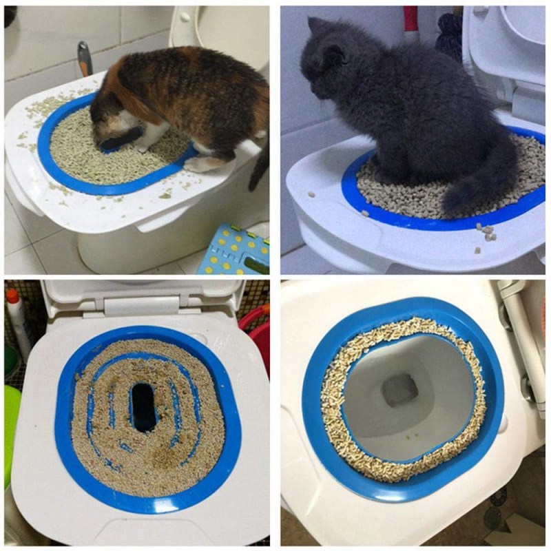 Приучить котенка к лотку