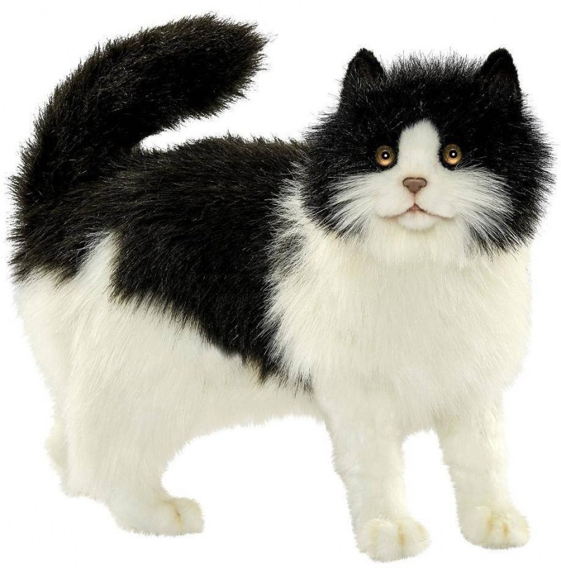 Мягкие игрушки Hansa кошки