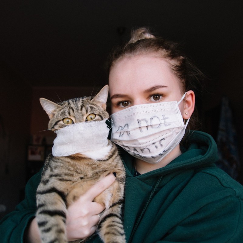 Котик в медицинской маске