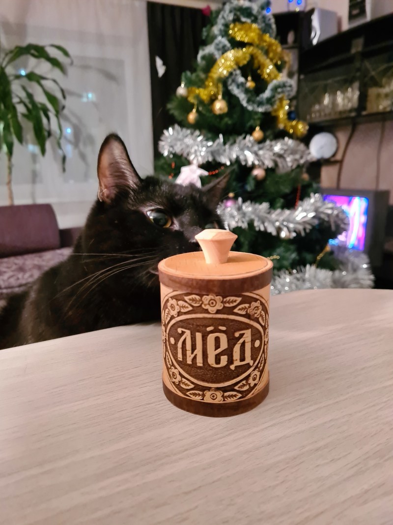 Котик в медицинской форме