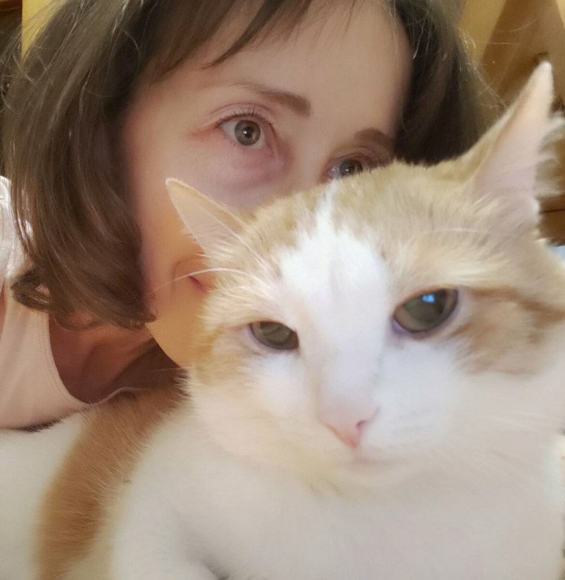 Котиков в штанах