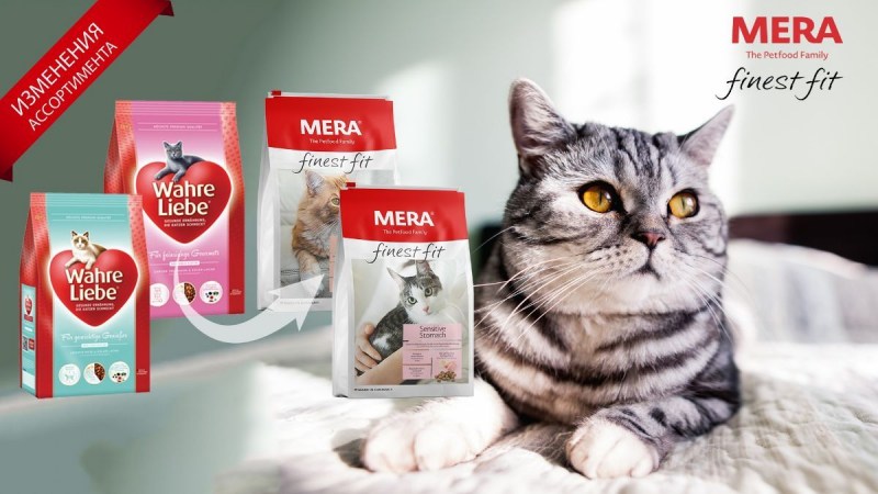 Корм для котят karmy с индейкой 1.5 кг
