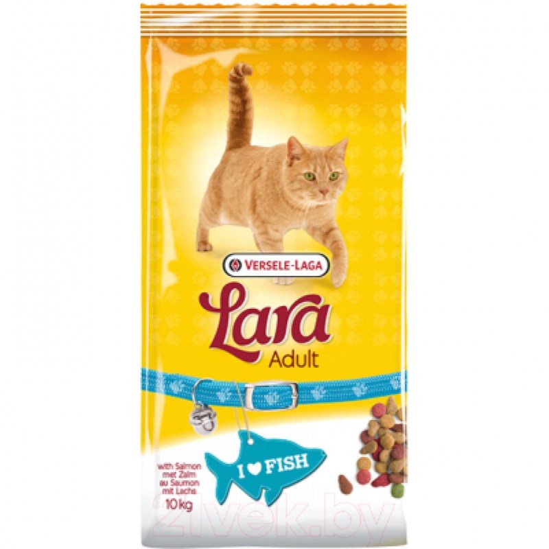 Корм для кошек с лососем