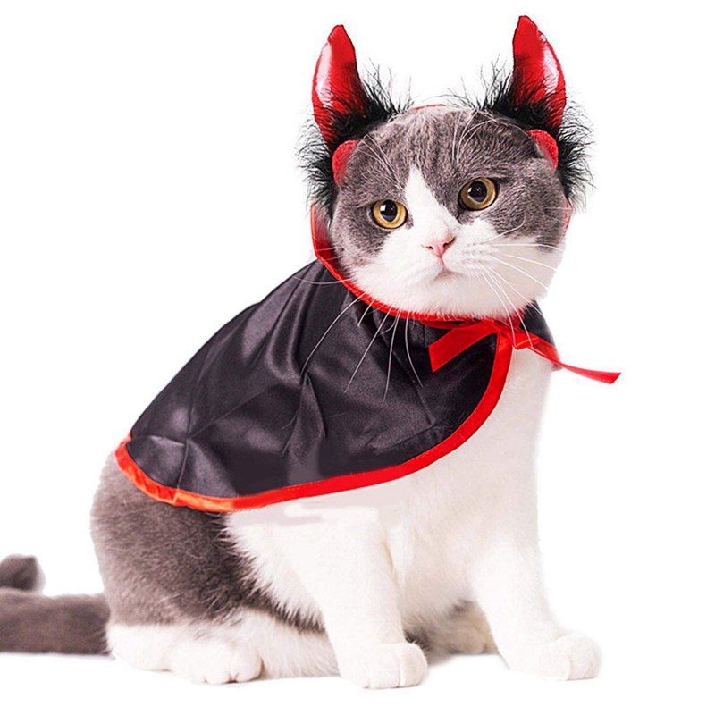 Костюмы на Хэллоуин для котов
