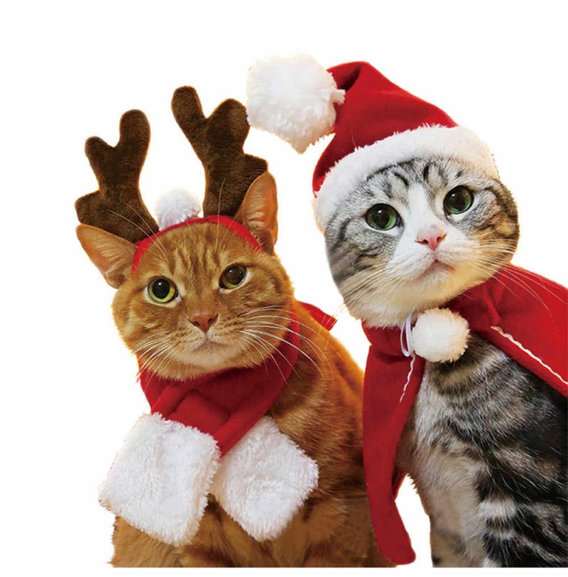 Новогодний костюм для кошки