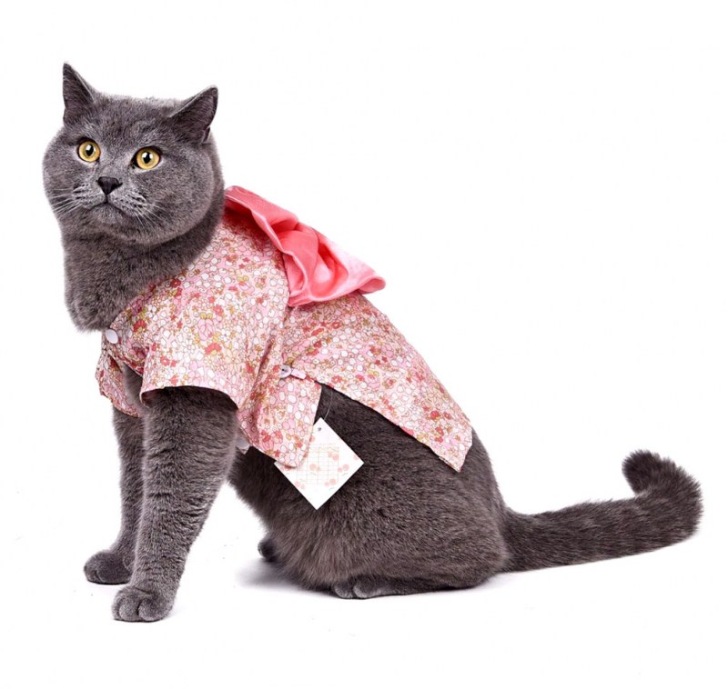Костюм кошки