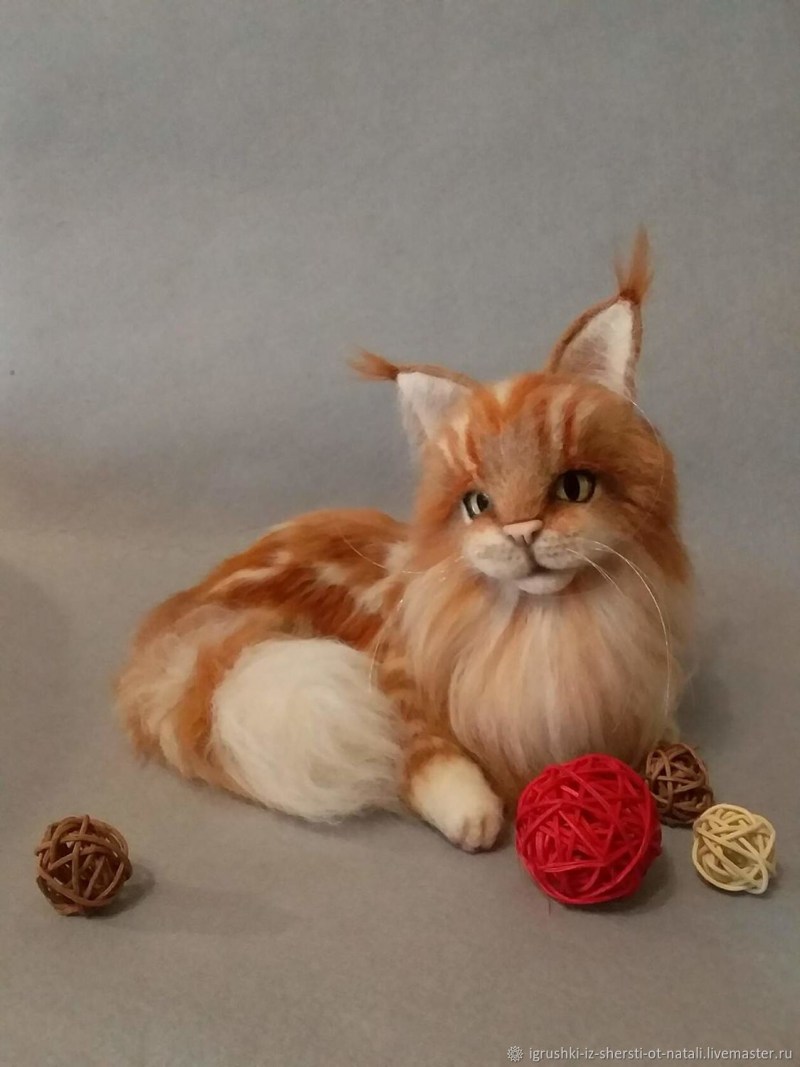 Мейн кун кошка шерсть