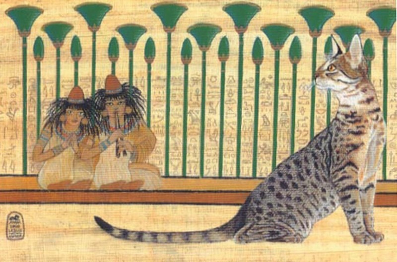 Кот в древнем Египте