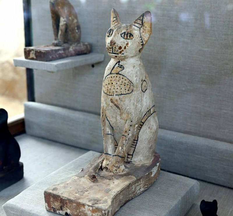 Кладбище кошки в древнем Египте