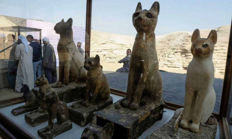 Кошачий некрополь Египет