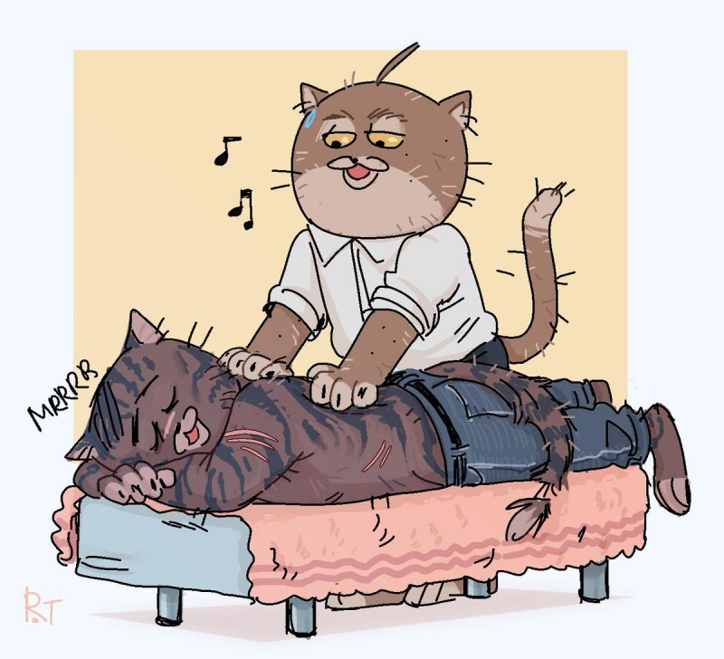 Укутанный кот