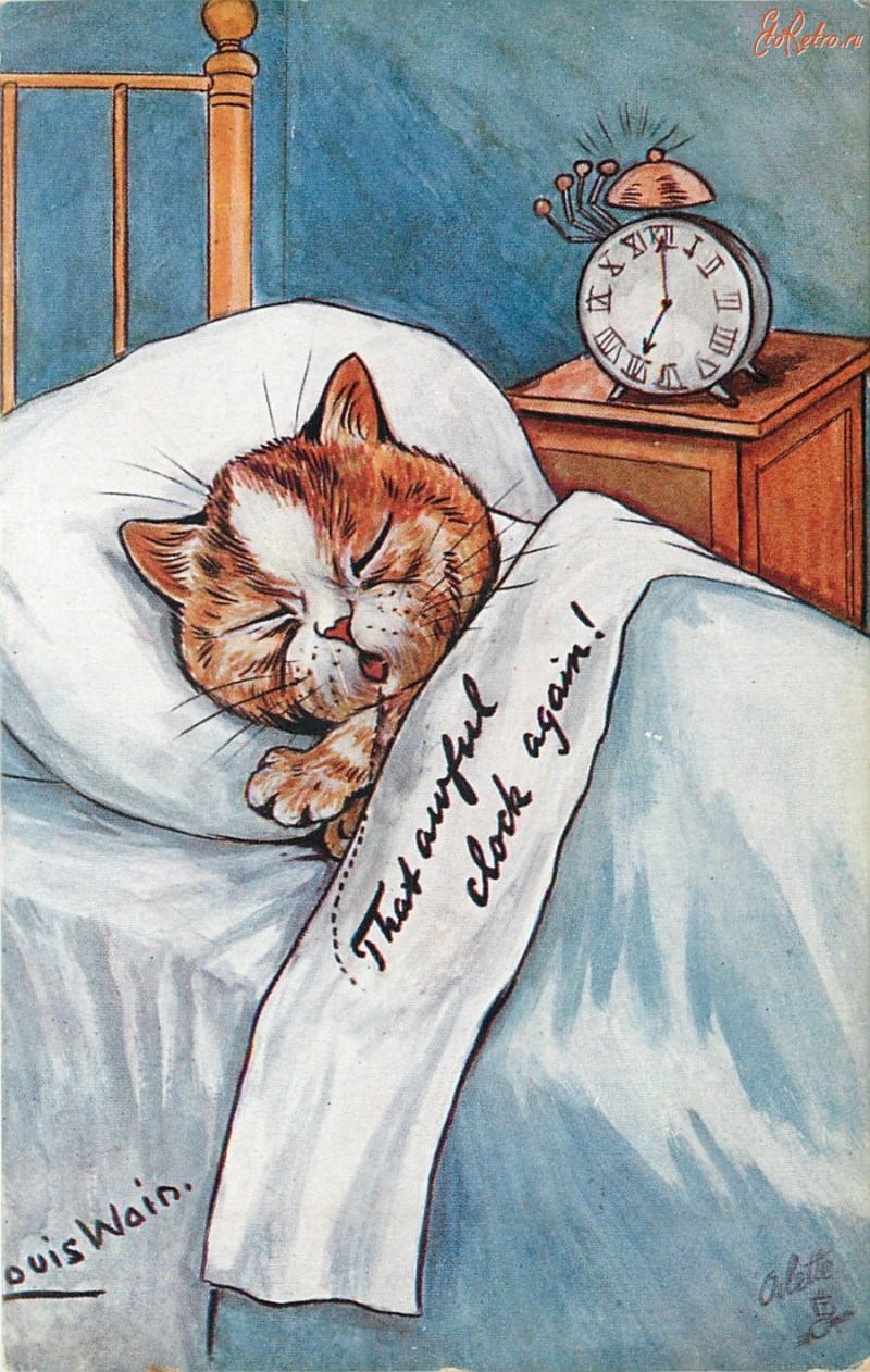 Котик болеет