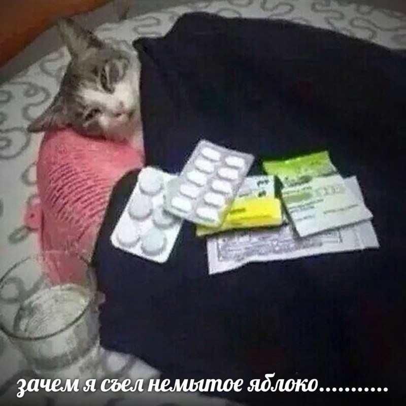 Котик болеет Мем