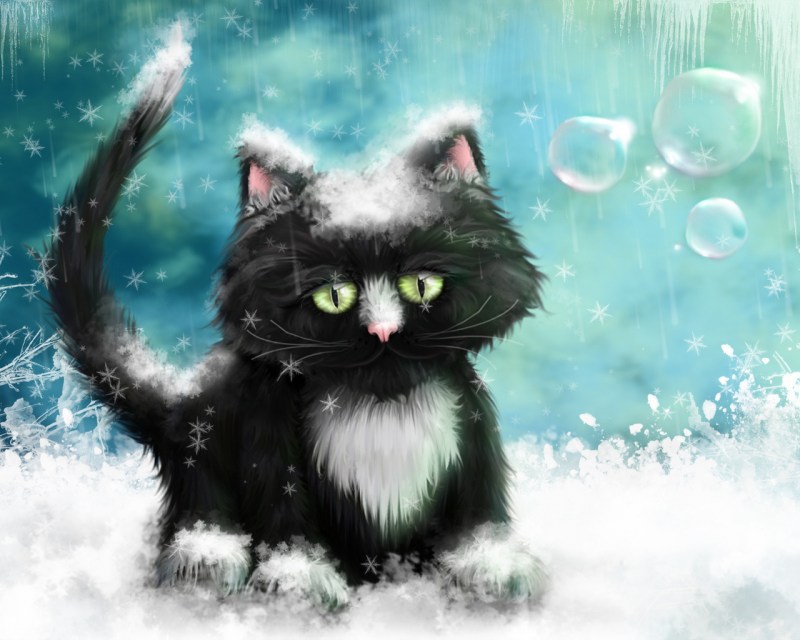 Черный котенок в снегу