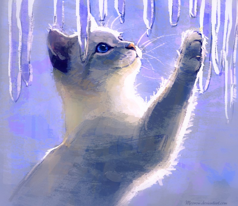 Кот и сосульки
