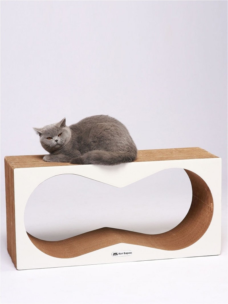Домики для котят из коробок