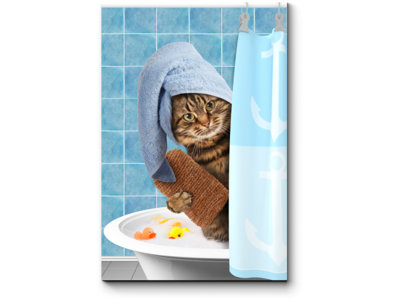 Котик в ванной