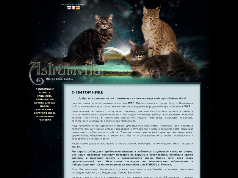 Чучело Мейн куна