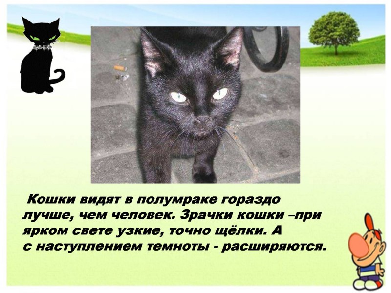 Слепота как видят
