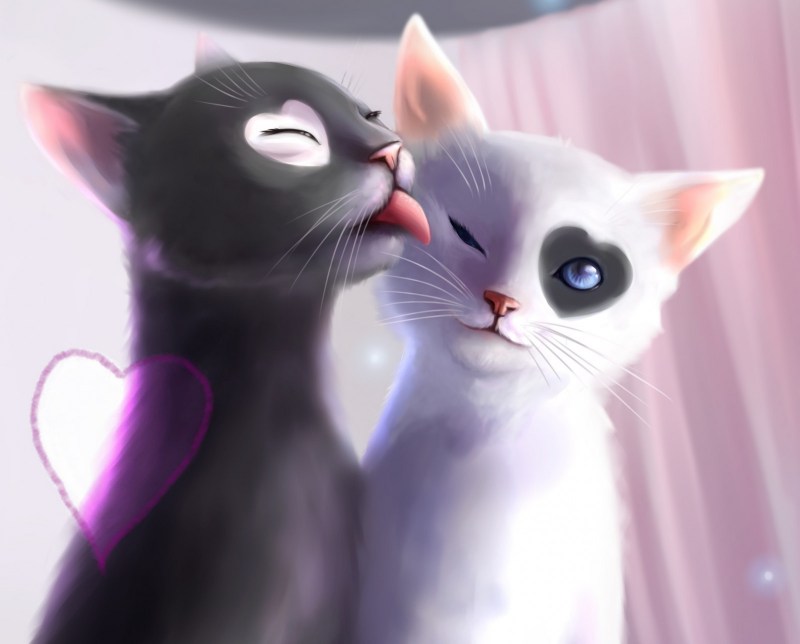 Мультяшные кошки