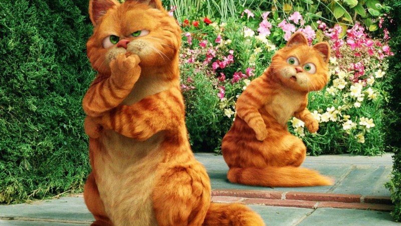 Кошечка коты Аристократы