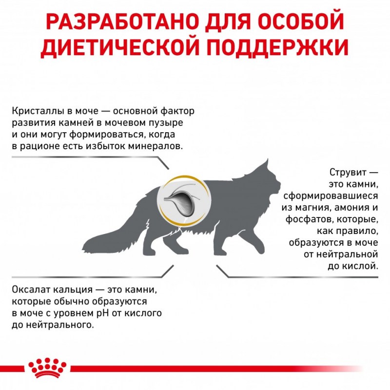Профилактика цистита у кошек