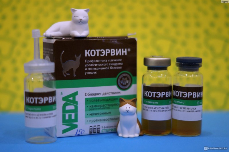 Лекарство от мочекаменной болезни у котов антибиотик