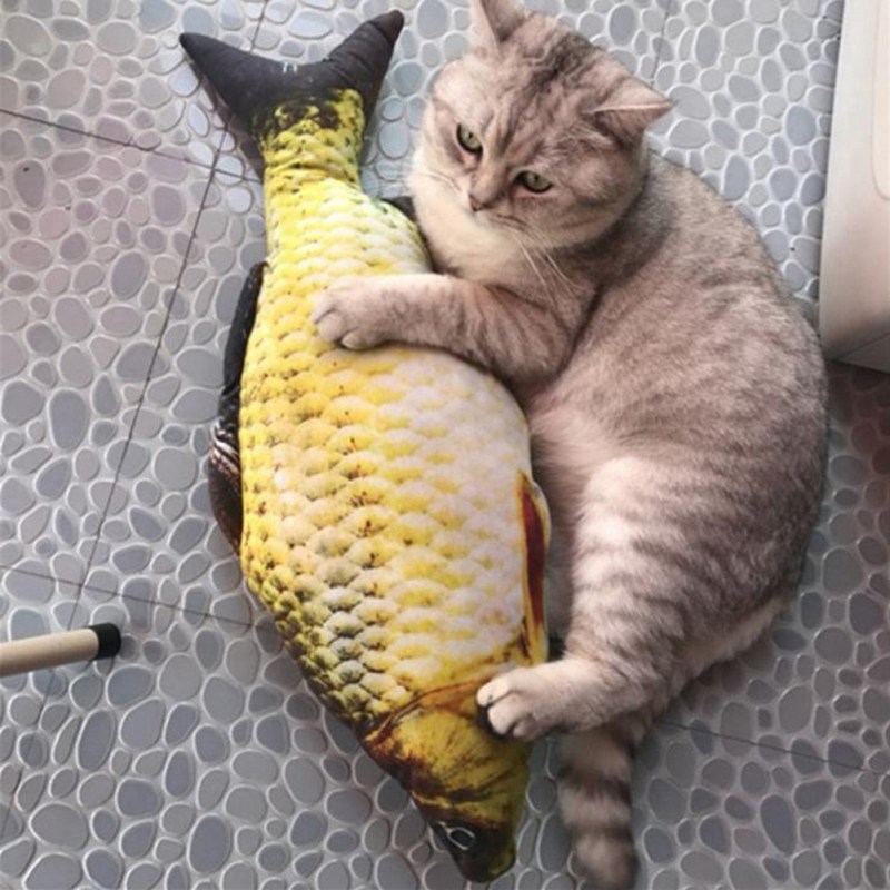 Рыбка для кошки