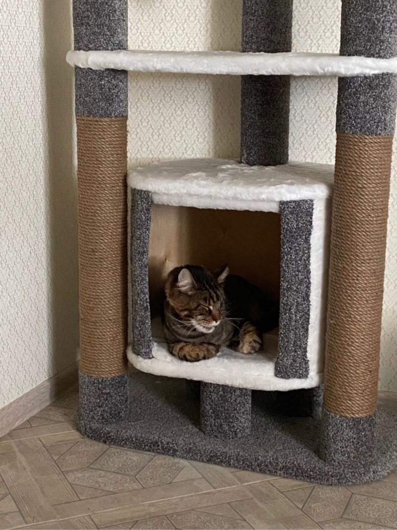 Домик для кошек Trixie Samuel Cat Tower 36х36х70 см