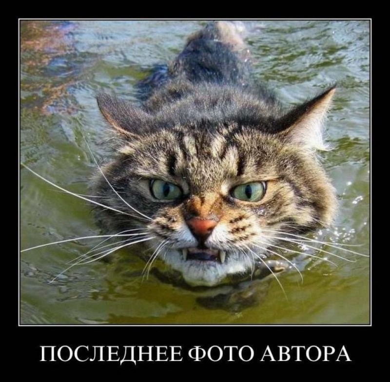 Демотиваторы злые