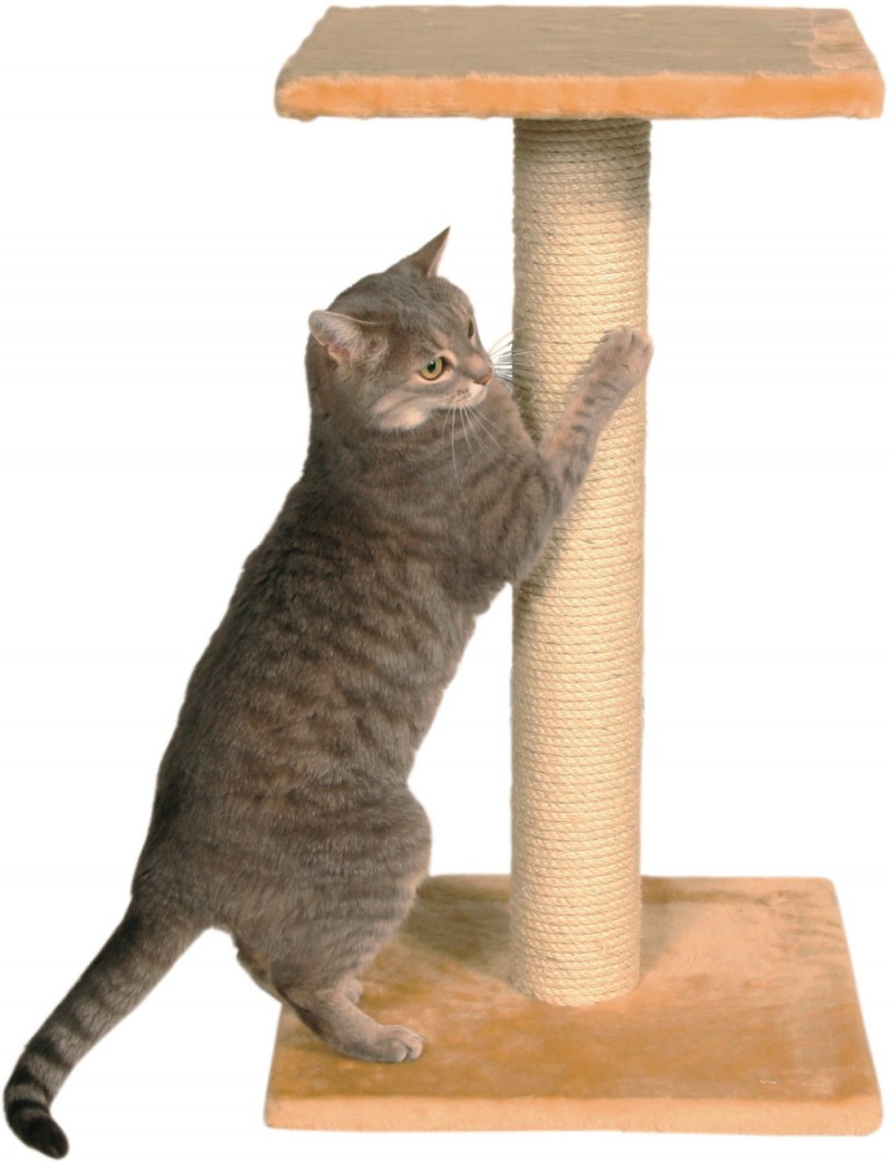 Когтеточка Homecat мятная волна Mini для котят 12 х 9 х 8 см