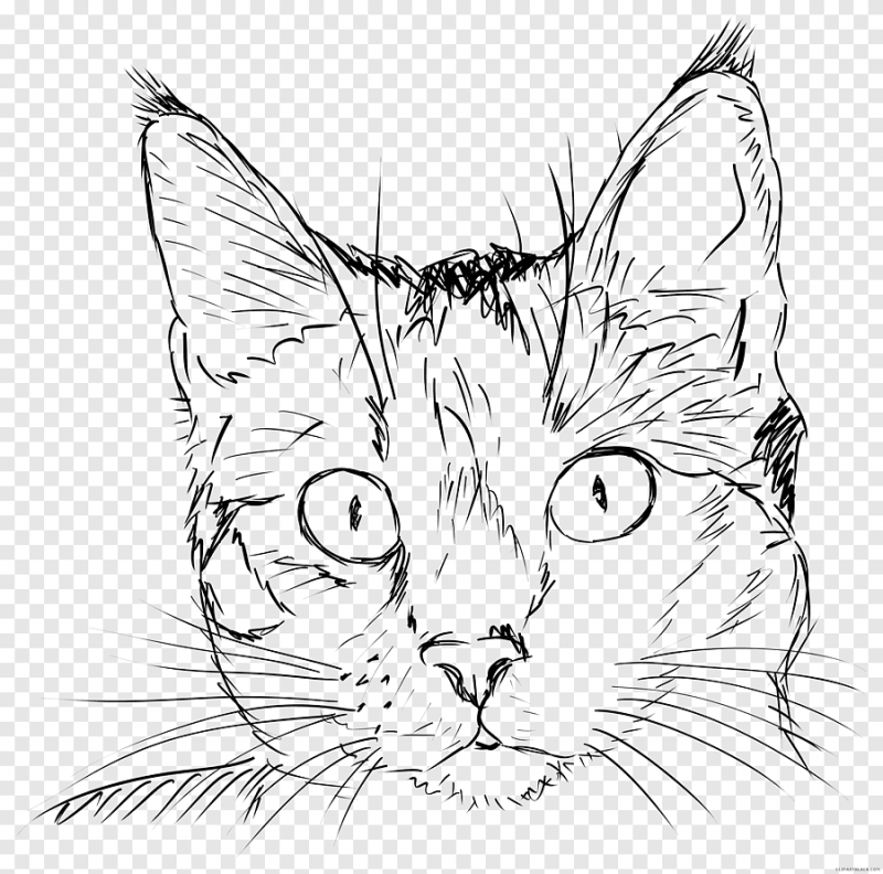 Кот рисунок