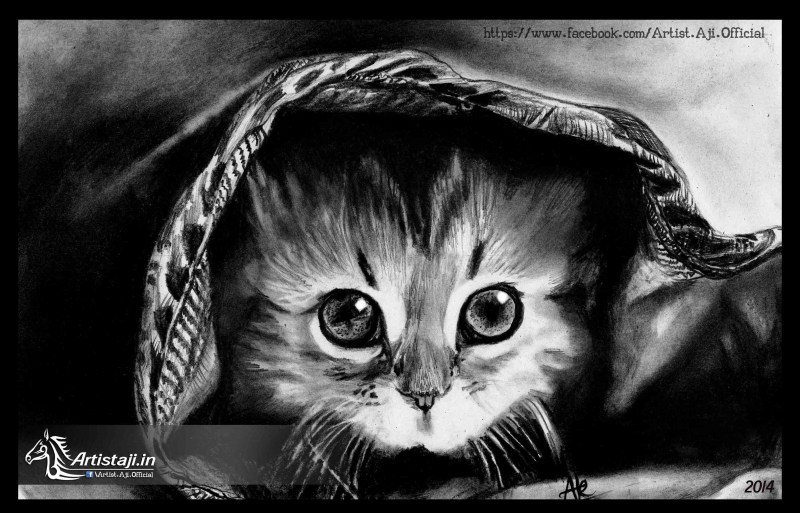 Самые красивые кошки карандашом