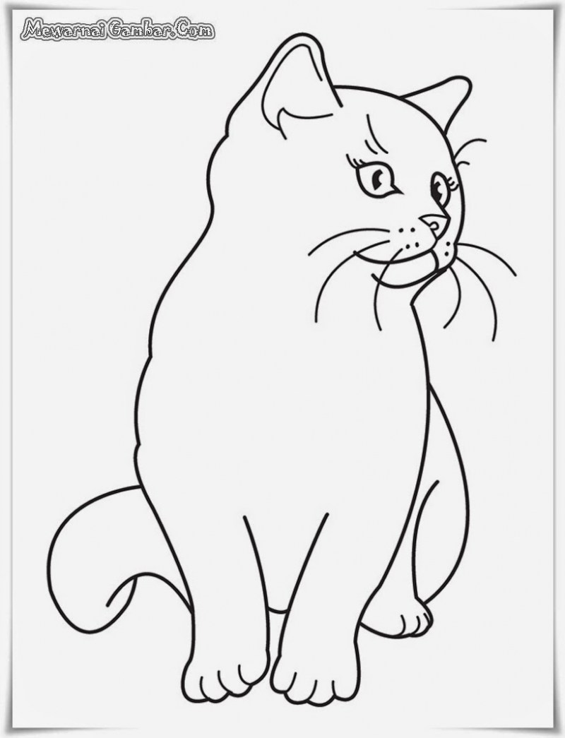 Кошки. Раскраска