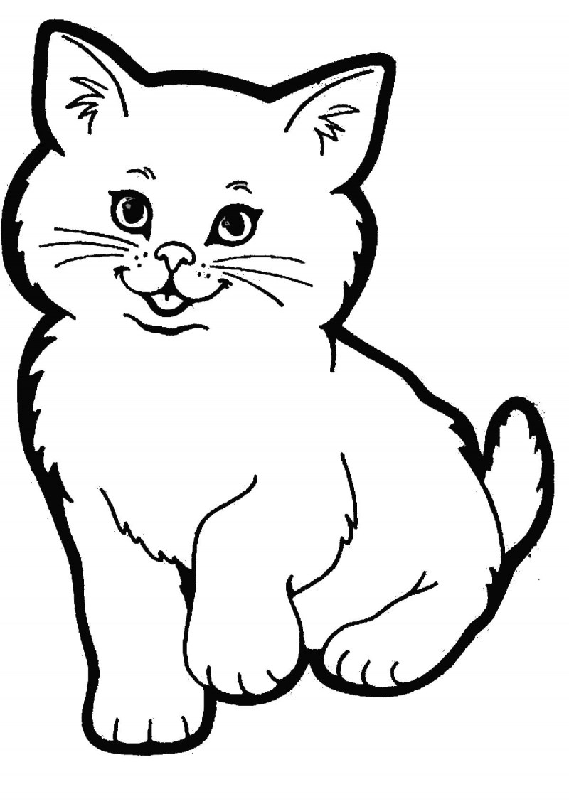 Раскраска кот