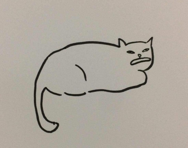 Нарисованный кот Мем