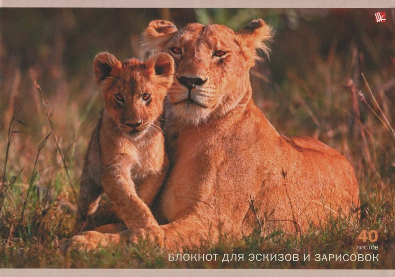 Лев львица и Львенок