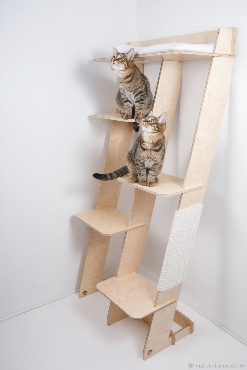 Ступеньки для кошек (77 фото) - фото - картинки и рисунки: скачать бесплатно