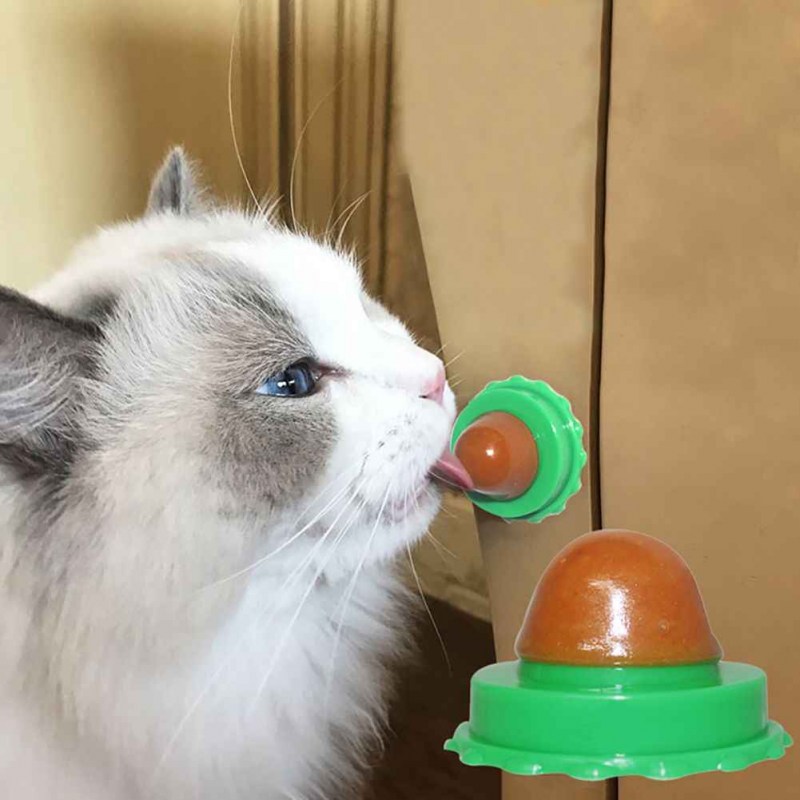Пустышка для котят