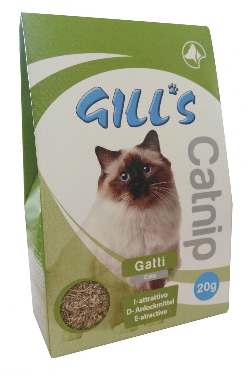 Catnip meaning