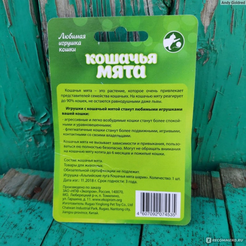 Наша кошка