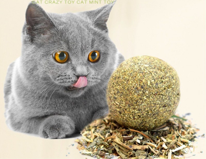 Мячик для лакомства для кошек