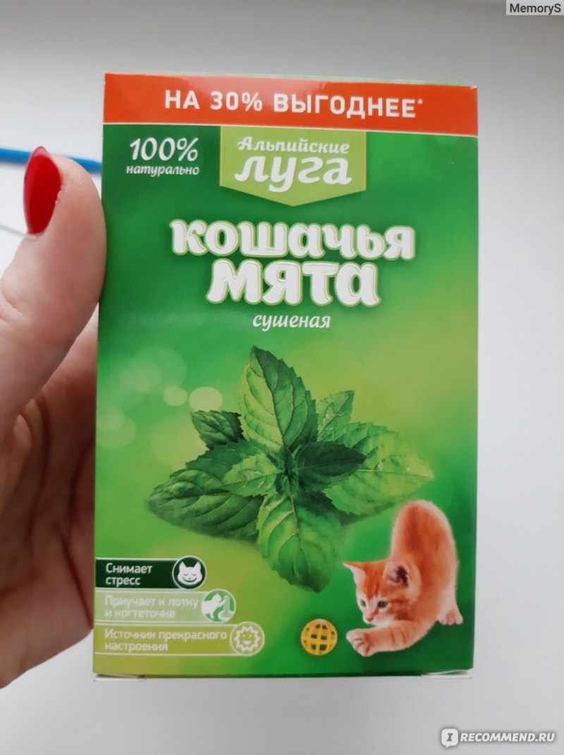 Мятные игрушки для кошек