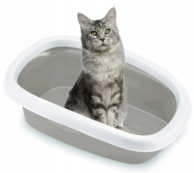 Корм для котят Royal Canin Мейн-кун 10 кг