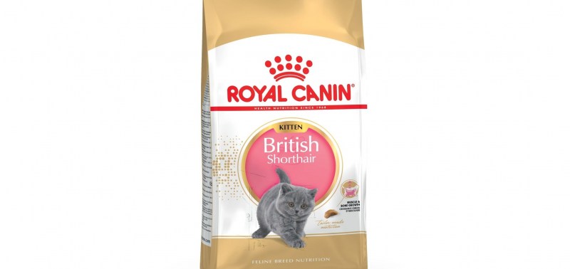 Royal Canin Kitten Maine Coon