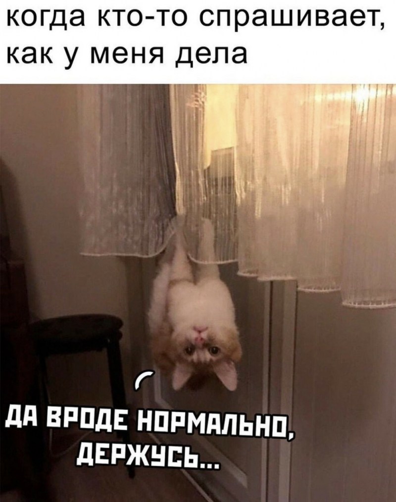 Держусь из последних сил